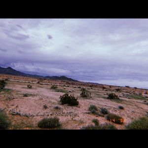 Meet your Posher, Savana